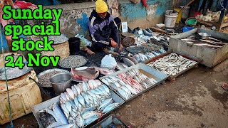 24nov stock fishmarket fishfood fishbazar viralvideo shorts tranding fishing fishcooking [upl. by Gonzalo]