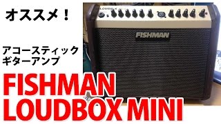 FISHMAN LOUDBOX MINI 音出しレビューオススメ！アコースティックギターアンプ [upl. by Garrek]