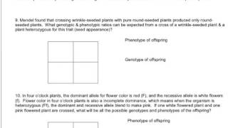 punnett square practice 9 [upl. by Bowler]