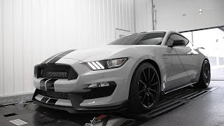 TwinTurbo Ford Mustang Shelby GT350 Sounds Glorious Dyno Sheet Reads 825 RWHP [upl. by Sauncho]