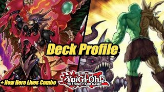 YuGiOh TCG Tier 1 Hero Deck Profile  Post The February 2022 Banlist [upl. by Bennet310]