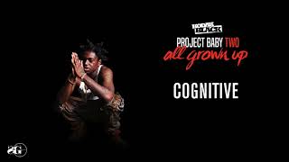 Kodak Black  Cognitive Official Audio [upl. by Uzzi877]