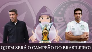 🐶🐷🎲 QUEM SERÁ O GRANDE CAMPEÃO DO CAMPEONATO BRASILEIRO 2023 BOTAFOGO OU PALMEIRAS [upl. by Burkhard]