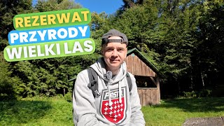 15 Rezerwat przyrody Wielki Las [upl. by Anotyal]