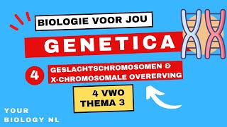 4 vwo  Genetica  4  Geslachtschromosomen amp Xchromosomale overerving [upl. by Hanway878]