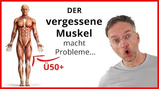 DIESER Muskel macht PROBLEME wenn du Ü50 bist [upl. by Iduj]