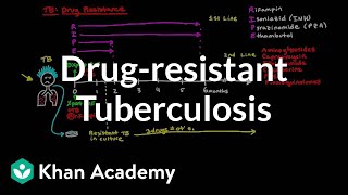 Drugresistant TB  Infectious diseases  NCLEXRN  Khan Academy [upl. by Merola484]