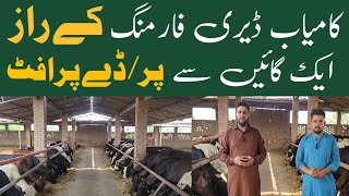 Dairy Farming For BeginnersMini Dairy Farm BusinessBest Dairy Farm [upl. by Broddy]