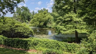 Jenkins Arboretum amp Gardens Devon Pennsylvania [upl. by Tenej]