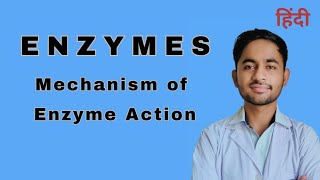 Enzyme  Mechanism of enzyme action  Biochemistry [upl. by Ynaffik]