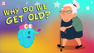 Why Do We Get Old The Dr Binocs Show  Best Learning Videos For Kids  Peekaboo Kidz [upl. by Ruelle446]