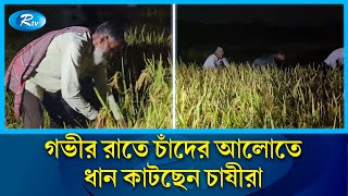 রাতে ধানকাটা বিরল দৃশ্যের সাক্ষী এলাকাবাসী  Paddy  Night  Rtv News [upl. by Onivla]