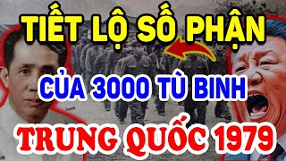 Sự Thật Động Trời VN Đã Làm Gì Với 3000 Tù Binh Trung Quốc Trong Chiến Tranh 1979 Triết Lý Tinh Hoa [upl. by Nessa970]