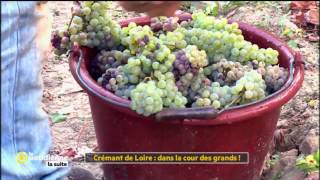 Crémant de Loire  dans la cour des grands   La Quotidienne la suite [upl. by Enilra296]