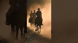 Cantering horses through golden dust on safari in South Africa horses [upl. by Adnuhsat660]