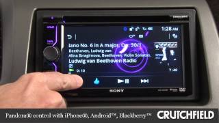 Sony XAV601BT DVD Receiver Display and Controls Demo  Crutchfield Video [upl. by Akihdar]