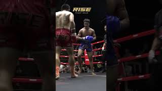 Explosive Muay Thai Highlights  Knockout Power Unleashed 🥊 muaythai thaifighter combatsport [upl. by Brewster409]