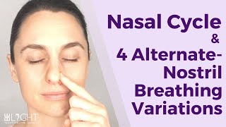 The Nasal Cycle amp 4 AlternateNostril Breathing Variations [upl. by Adrienne]