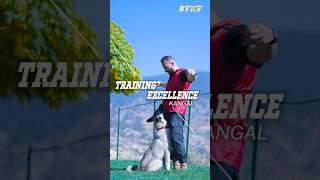 TRAINING EXCELLENCE KANGAL shorts [upl. by Rose]