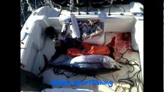 Hubris Sportfishing 2012 Season Video [upl. by Ecyt149]