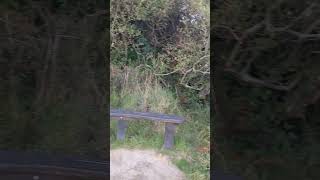 View at Stonebarrow near Charmouth Dorset [upl. by Bradeord]