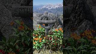 Arthurs Grave Location  RDR2 [upl. by Akcemat]