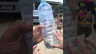 Last hasil dapat remis  prepare healthy food during the flood YouTubePRO FacebookPRO [upl. by Marinelli]