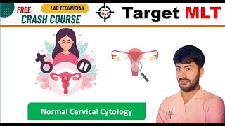 44 Cytology class3  Normal cervical cytology AIIMS PGIMER DSSSB RML sgpgi 2024 [upl. by Leckie]