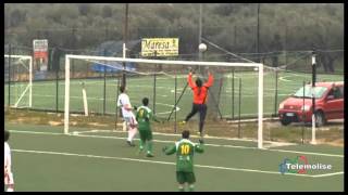 Molise  Prima Categoria Girone C  Giornata 18  Ururi Calcio vs Tre Archi Ripalimosani [upl. by Hairakcaz]