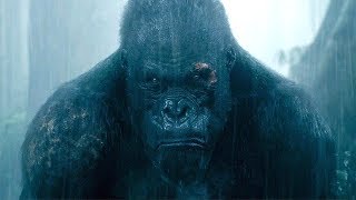 The Legend of Tarzan  Full Movie Preview  Warner Bros Entertainment [upl. by Jb]