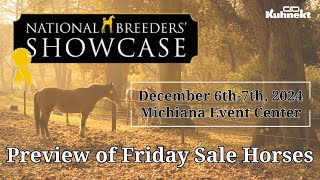 Preview of Friday Sale Horses  2024 National Breeders Showcase [upl. by Raff962]