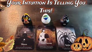 💡🌟 Your Intuition Is Telling You THIS 💡🌟 Pick A Card Reading [upl. by Ttej255]