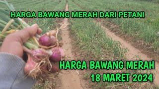 harga bawang merah hari ini 18 Maret 2024 [upl. by Seigel]