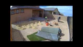 How to Landscape a Dirt Yard [upl. by Arteid]