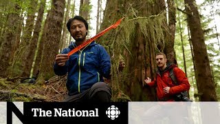 Fighting to protect BC’s ancient forests [upl. by Guzel]