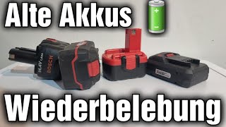 Defekte Akkus 🔋 wiederbeleben Regenerieren Starthilfe [upl. by Swanhildas681]