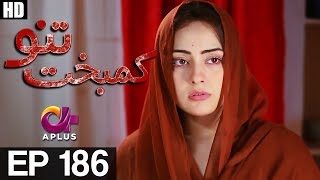 Kambakht Tanno  EP 186  Aplus  Shabbir Jaan Tanvir Jamal Sadaf Ashaan  C2U1 [upl. by Secilu]