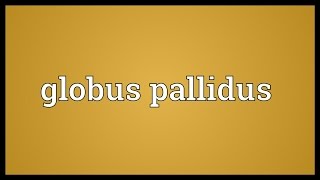 Globus pallidus Meaning [upl. by Keriann]