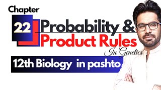 Probability and product rules in genetics  FSC Biology Chapter 22 [upl. by Pickford]