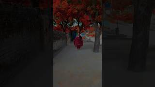 Bollywood hindi Song dance shortsfeed song shorts viraldance [upl. by Jasen603]