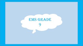 EMS GRADE 9 TERM 4 NOVEMBER 2023 EXAM FUNCTIONS OF BUSINESS [upl. by Limaa]