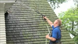 How to get rid of moss on roof with Moss Buster® [upl. by Anema]