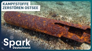 Gefährliche Munition in der Ostsee  Kampfmitteltaucher im Einsatz  Spark Deutschland [upl. by Ybeloc404]