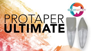 Protaper Ultimate on artificial resin tooth Clearnatomy™ [upl. by Anifesoj285]