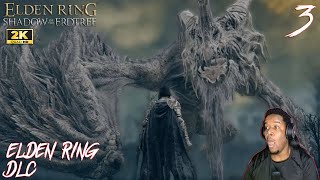 Elden Ring DLC  COOP LETS PLAY 3  FINALLY BEATING THE GHOSTFLAME DRAGON BOSS BATTLE [upl. by Etnohc310]