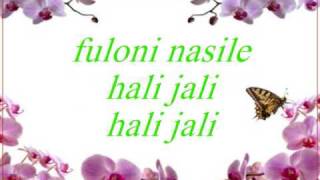 Soku meli nasaba Assamese song lyrics [upl. by Voleta]