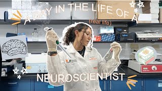 A Day in the Life of a Neuroscientist  VLOG [upl. by Anirahc]