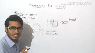 Plasmolysis explained in detail turgid  flaccid and plasmolysed cells [upl. by Qerat]