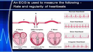 Electrocardiography [upl. by Gerardo660]