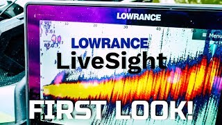 First Time Using Lowrance LiveSight RealTime Sonar [upl. by Ellek]